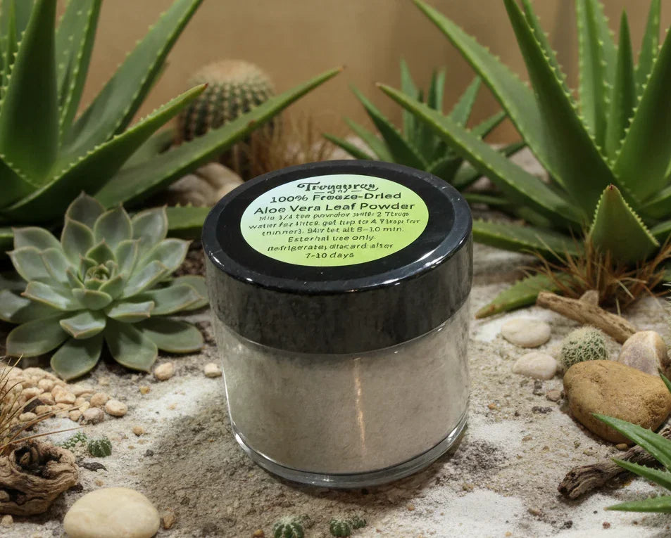 Jar of 100% freeze-dried aloe vera leaf powder in desert setting with succulents and sand