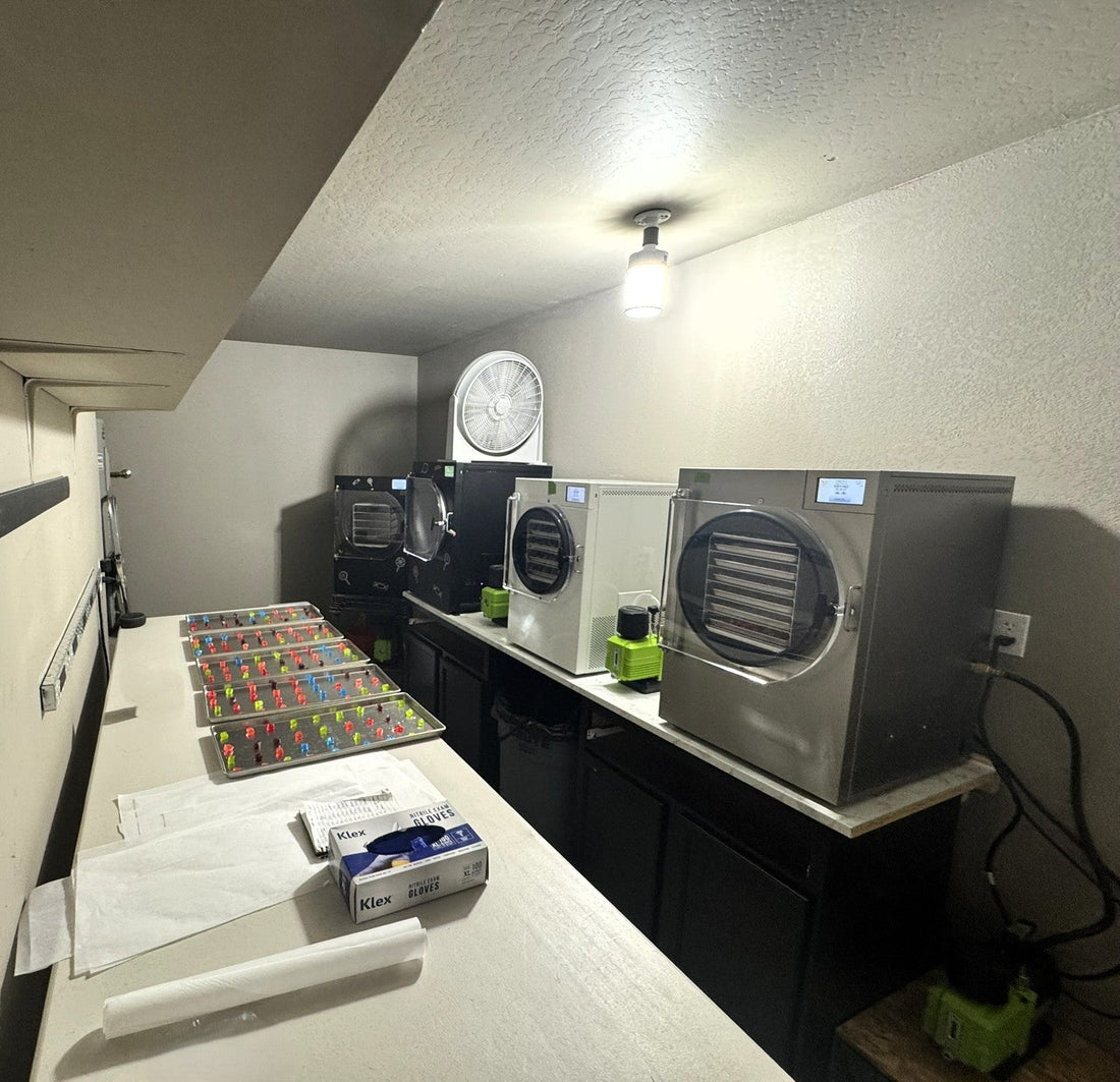 Freeze dryers and trays of colorful candy being prepared in a commercial kitchen setting.