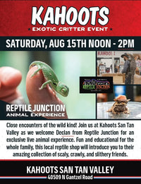 Reptile Junction at Kahoots San Tan Valley